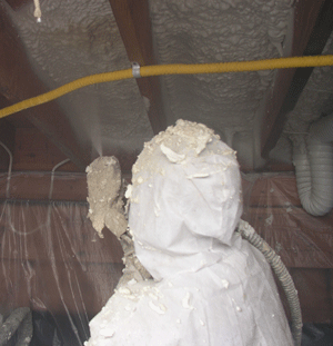 Juno AK crawl space insulation